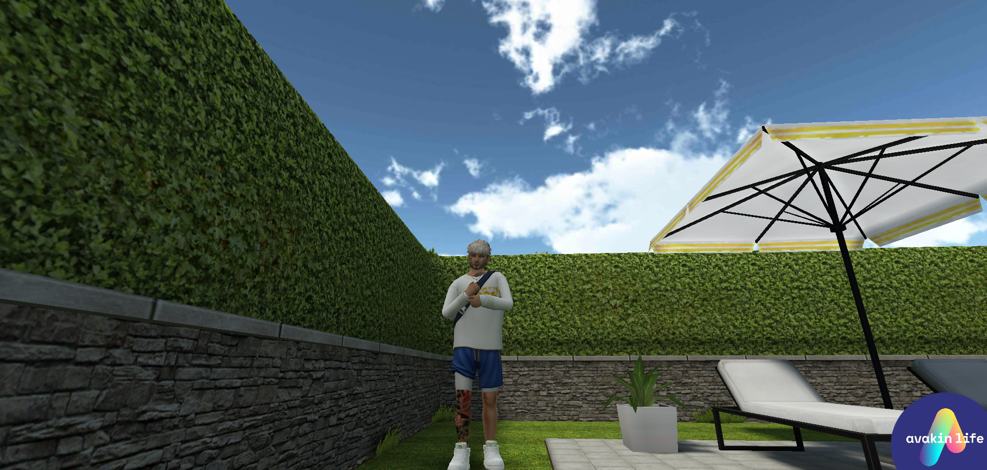 Avakin life